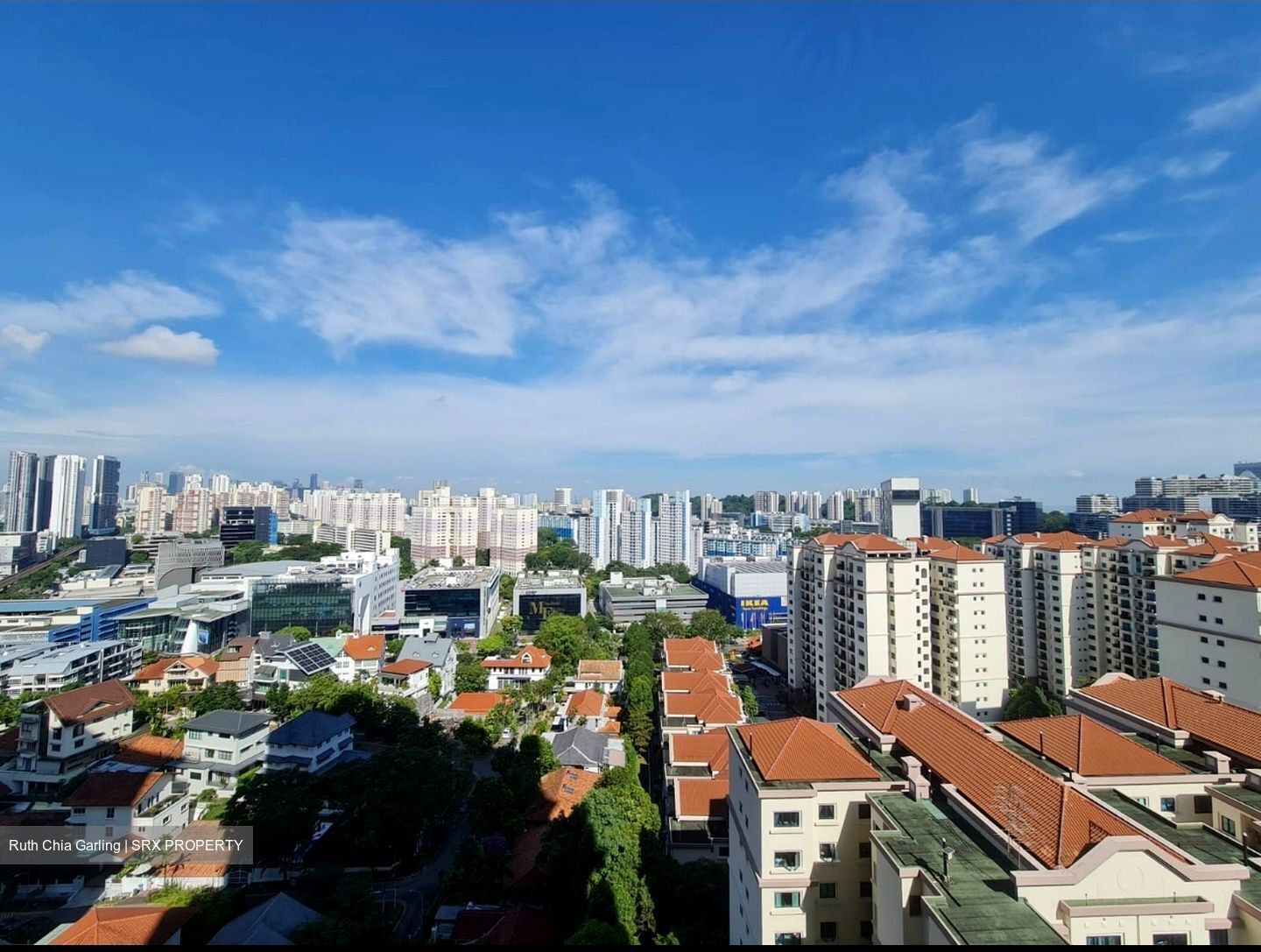 Stirling Residences (D3), Apartment #607463001